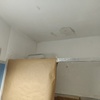 Pintar Interior De Vivienda