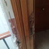 Reparar Carpintería Madera