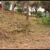 Construir Casa