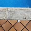 Alicatar Piscina