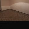 Pulir Suelo Vivienda (Completa)