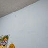 Pintar Interior De Vivienda
