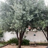 Otros Trabajos De Jardinería