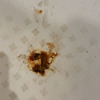 Esmaltar Bañera