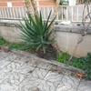 Otros Trabajos De Jardinería