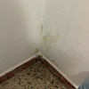 Arreglar Humedades