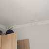 Arreglar Humedades