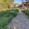 Proyecto y Construcción Casa