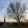 Otros Trabajos De Jardinería