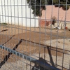Otros Trabajos De Albañilería