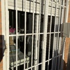 Cambiar cristales en puertas y ventanas