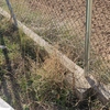 Construir Muro