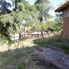 Desbrozar Jardín