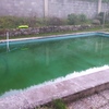 Limpieza puntual de piscina