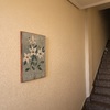 Pintar Interior De Vivienda