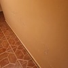 Impermeabilización Parcial Vivienda O Local