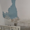 Arreglar Humedades
