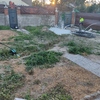 Otros Trabajos De Jardinería