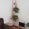 Instalar Estufas De Pellets