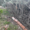 Construir Muro