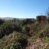 Desbrozar Jardín