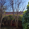 Otros Trabajos De Jardinería