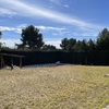 Mantener Jardín