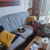 Mudanza Vivienda