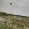 Reforma Vivienda