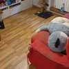 Limpieza por diógenes