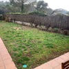 Plantar Cesped