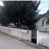 Talar árboles
