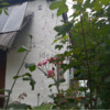 Reforma Vivienda