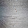Otros Trabajos De Parquet