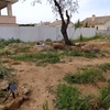 Hormigón gardin