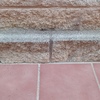Fumigación o Desinsectación