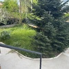 Mantener Jardín