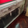 Pintar Interior De Vivienda