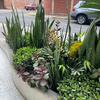 Diseñar Jardín