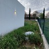Desbrozar Jardín