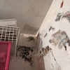 Pintar trastero
