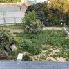 Desbrozar Jardín