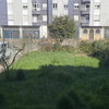 Hacer puesta a punto de jardín