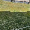 Proyecto y Construcción Piscina