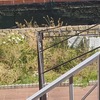 Desbrozar Jardín
