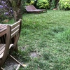 Desbrozar Jardín
