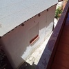 Fumigación o Desinsectación