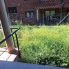 Desbrozar Jardín