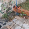 Mantener Jardín