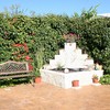 Hacer puesta a punto de jardín